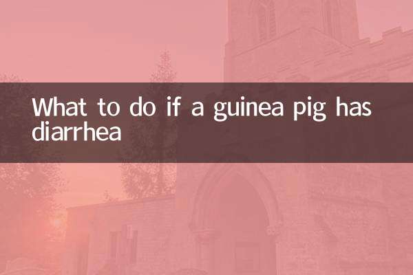 গিনিপিগের ডায়রিয়া হলে কী করবেন