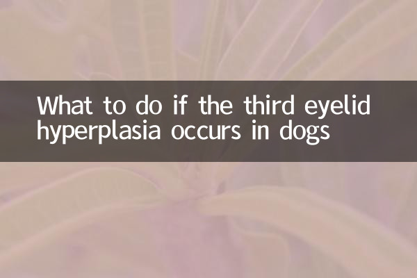 狗狗第三眼睑增生怎么办