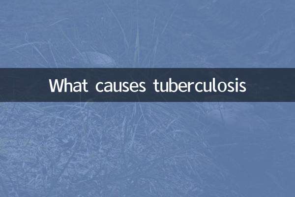 O que causa a tuberculose