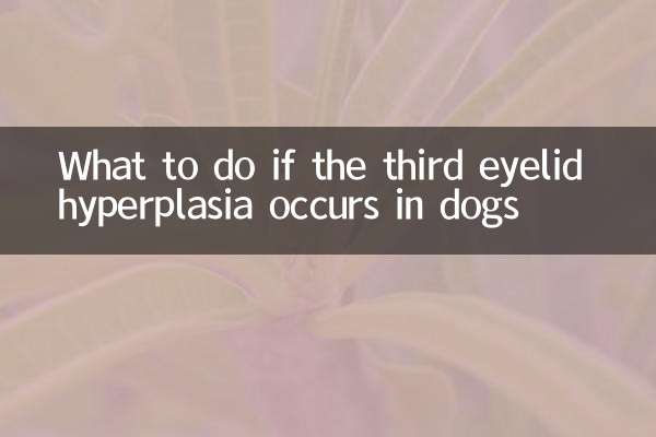 کیا کریں اگر تیسرا پپوٹا ہائپرپالسیا کتوں میں ہوتا ہے