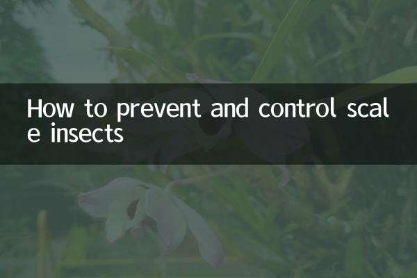 Wie man Schuppeninsekten vorbeugt und bekämpft