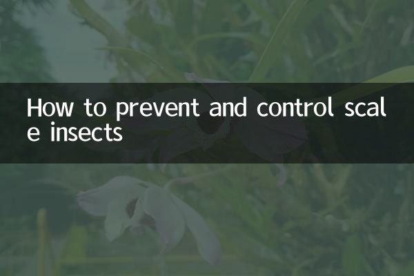 Wie man Schuppeninsekten vorbeugt und bekämpft