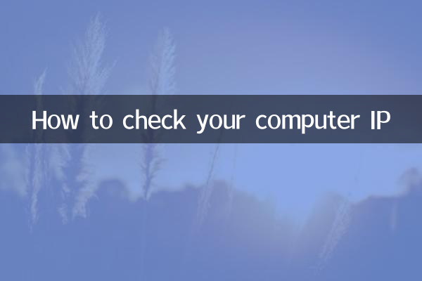 How to check your computer IP
