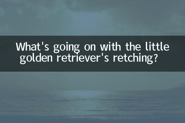 ما الذي يحدث مع تقيؤ كلب جولدن ريتريفر الصغير؟