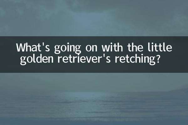 ما الذي يحدث مع تقيؤ كلب جولدن ريتريفر الصغير؟