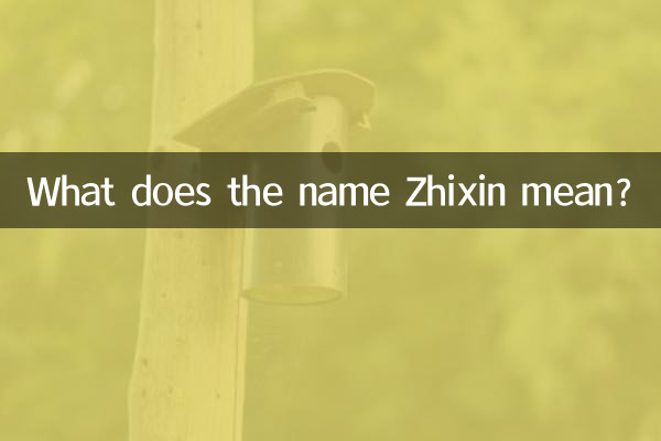 ماذا يعني الاسم Zhixin؟