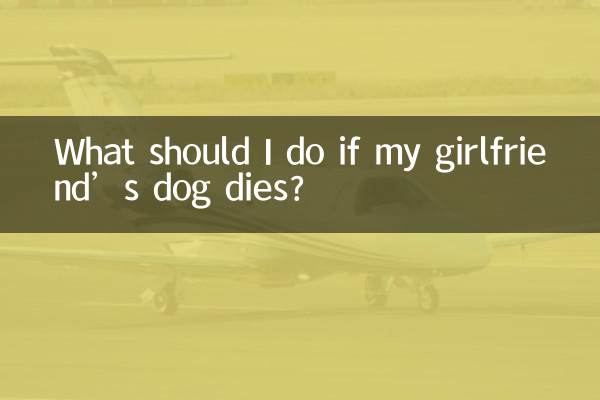What should I do if my girlfriend’s dog dies?