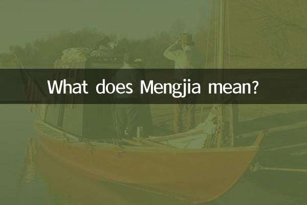 مینگیا کا کیا مطلب ہے؟