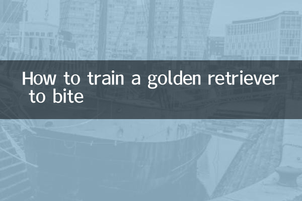 ゴールデンレトリバーを噛むように訓練する方法