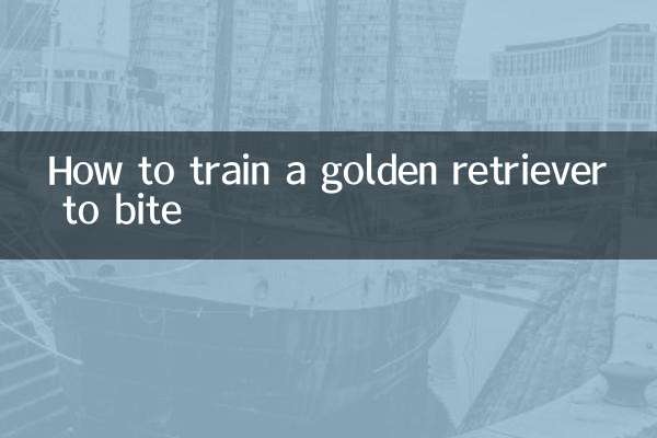 How to train a golden retriever to bite