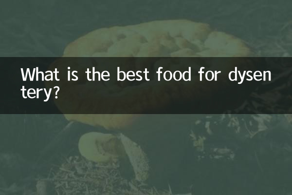 이질에 가장 좋은 음식은 무엇입니까?