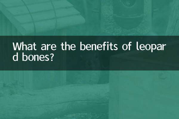 तेंदुए की हड्डियों के क्या फायदे हैं?