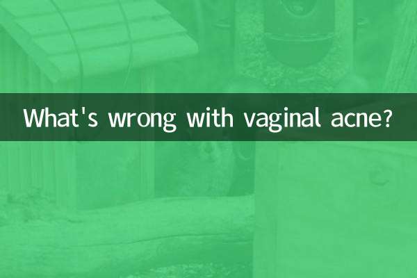 O que há de errado com a acne vaginal?