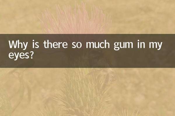 눈에 껌이 왜 이렇게 많이 들어있나요?