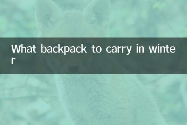 موسم سرما میں کیا بیگ لے جانے کے لئے