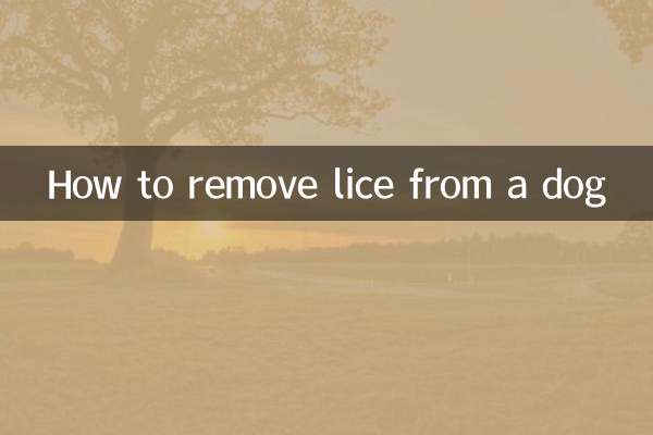 Comment éliminer les poux d'un chien
