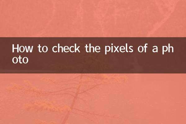 写真のピクセルを確認する方法