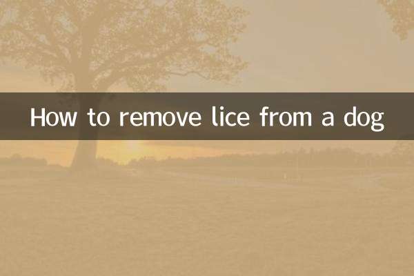 কিভাবে একটি কুকুর থেকে উকুন অপসারণ