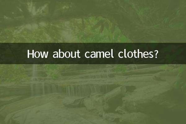 ماذا عن ملابس الجمل؟