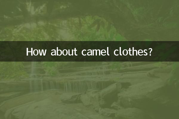 駱駝衣服怎麼樣