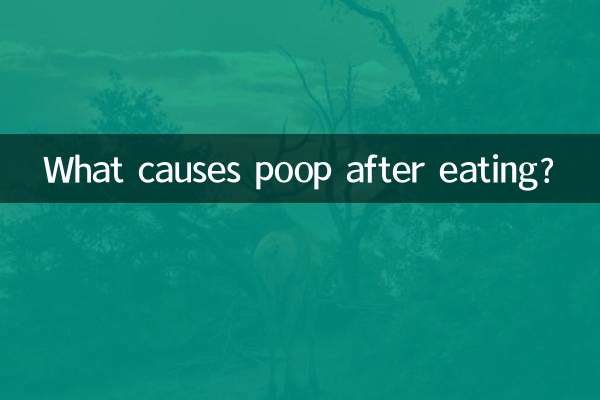 Qu’est-ce qui cause les selles après avoir mangé ?