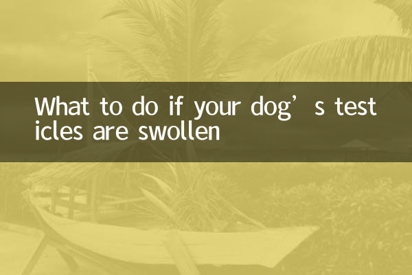 Qué hacer si los testículos de tu perro están hinchados