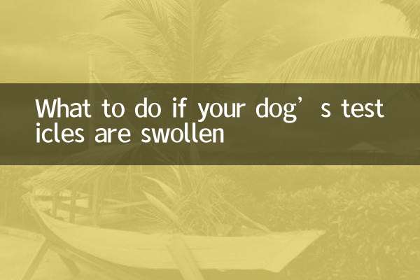What to do if your dog’s testicles are swollen