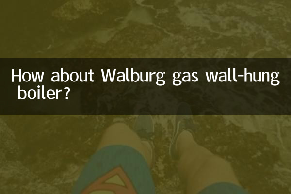 ওয়ালবার্গ গ্যাস ওয়াল-হ্যাং বয়লার সম্পর্কে কেমন?