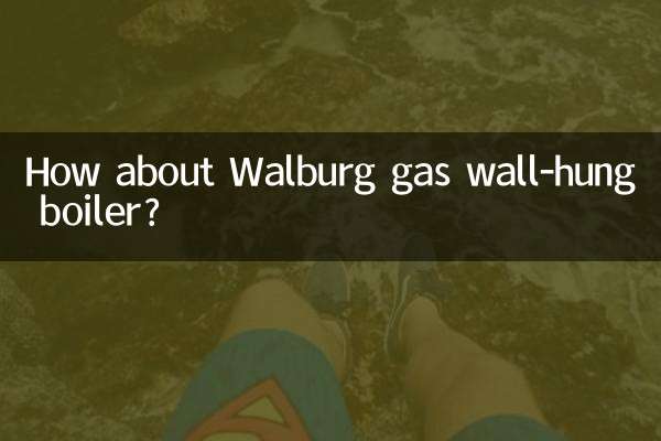 ماذا عن غلاية غاز Walburg المعلقة على الحائط؟