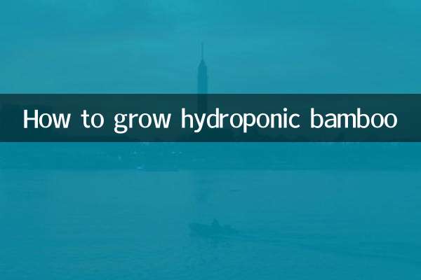 How to grow hydroponic bamboo