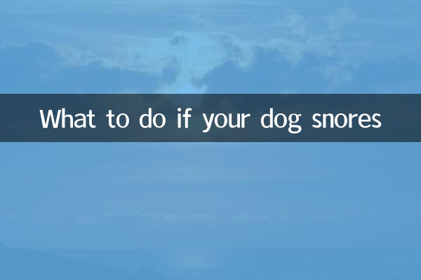 犬がいびきをかいた場合の対処法