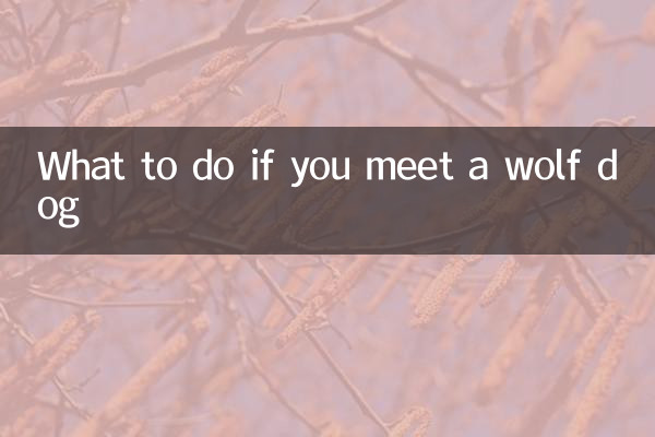 আপনি একটি নেকড়ে কুকুর দেখা হলে কি করবেন