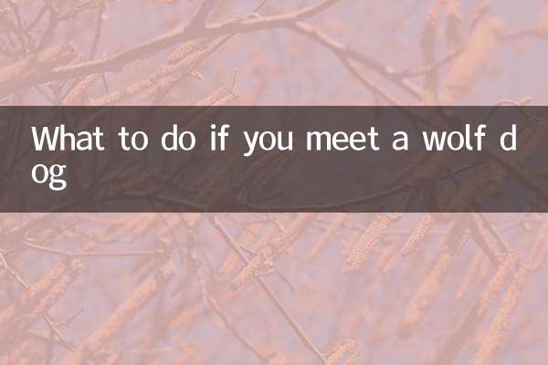 আপনি একটি নেকড়ে কুকুর দেখা হলে কি করবেন