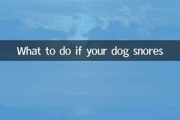 犬がいびきをかいた場合の対処法