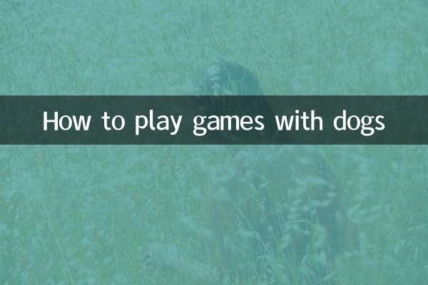 Como brincar com cachorros