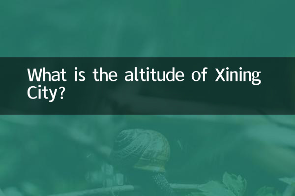 시닝시의 고도는 얼마입니까?