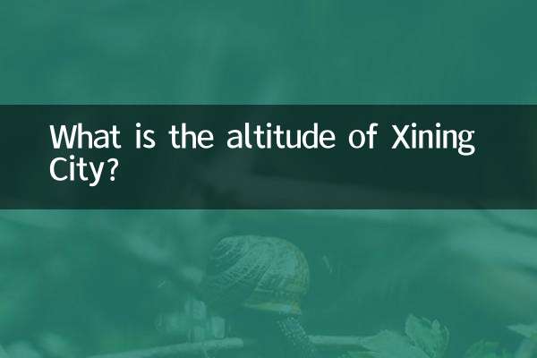 Какова высота города Синин?