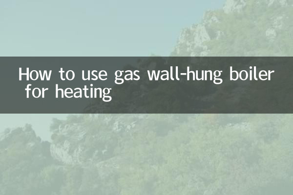 난방에 가스 벽걸이 보일러를 사용하는 방법