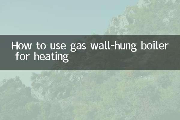 난방에 가스 벽걸이 보일러를 사용하는 방법