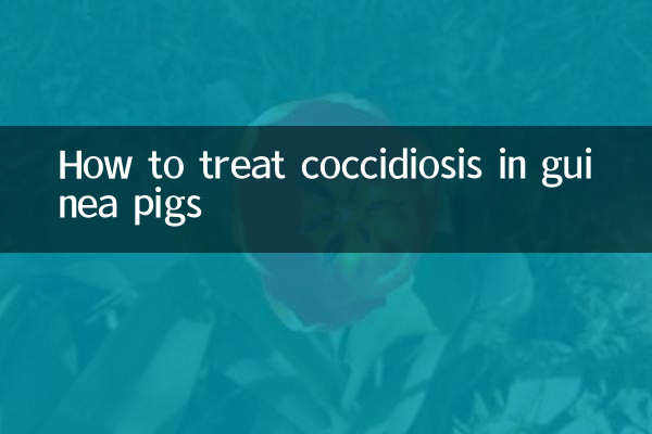 Wie behandelt man Kokzidiose bei Meerschweinchen?