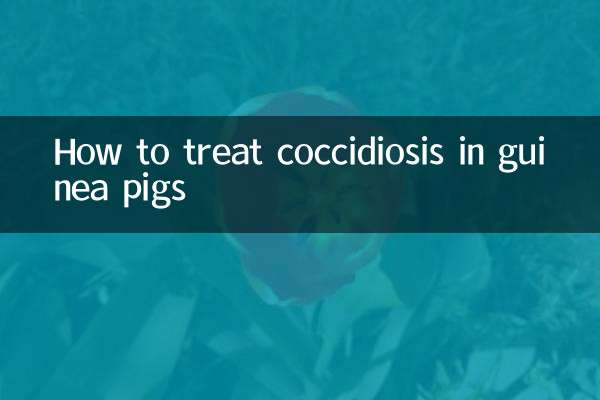 豚鼠球虫病怎么治疗