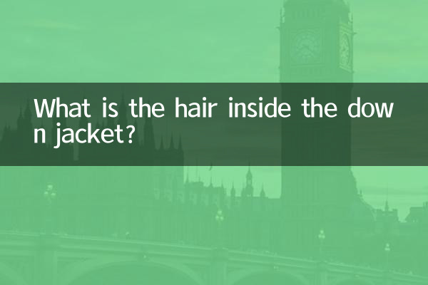डाउन जैकेट के अंदर कौन से बाल हैं?