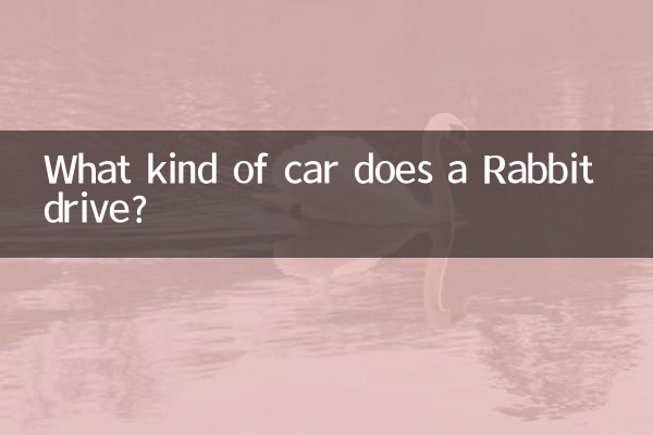 خرگوش چه نوع ماشینی می راند؟