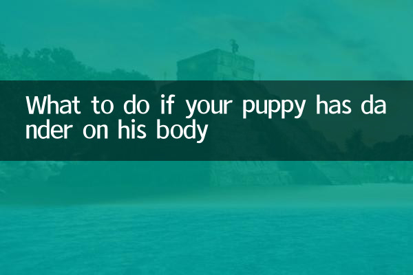 Was tun, wenn Ihr Welpe Hautschuppen am Körper hat?