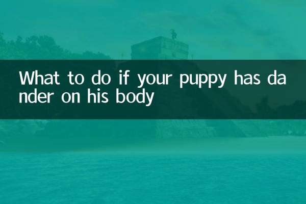 اگر توله سگتان روی بدنش شوره داشت چه باید کرد؟