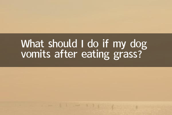 Was soll ich tun, wenn mein Hund nach dem Fressen von Gras erbricht?