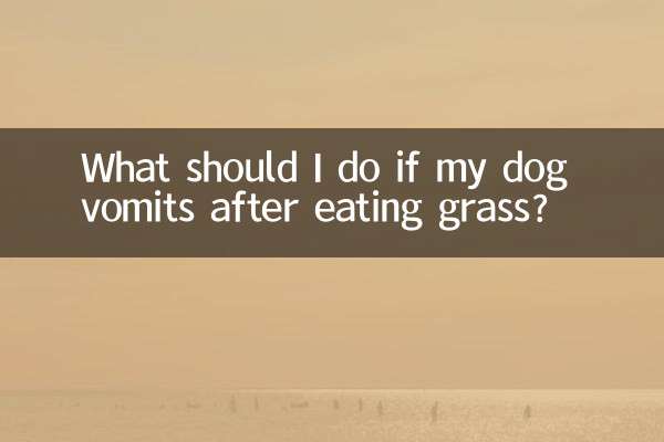 Was soll ich tun, wenn mein Hund nach dem Fressen von Gras erbricht?