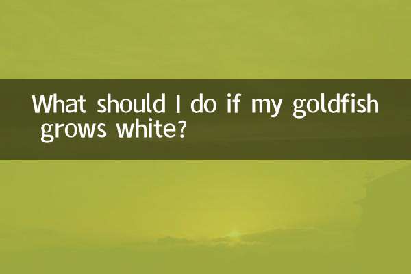 金魚が白くなったらどうすればいいですか？