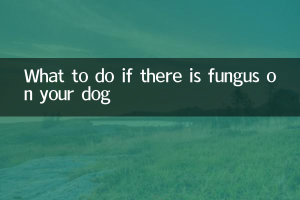 狗狗身上有真菌怎么办