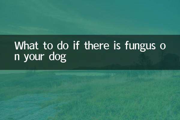 狗狗身上有真菌怎么办